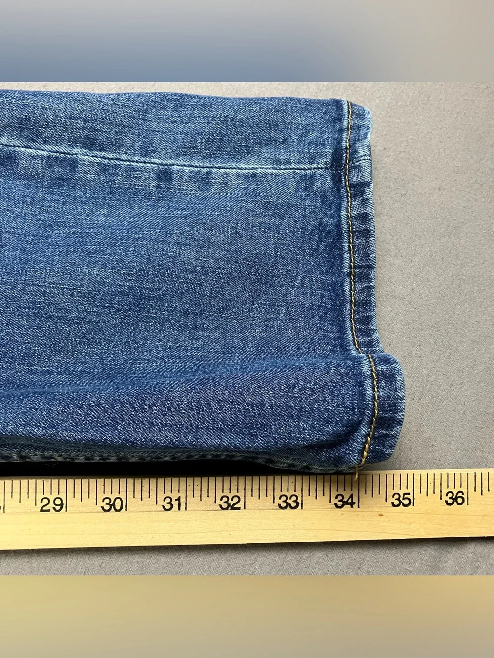Levis levis 559